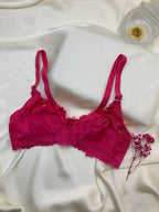 Beautiful Dailywear Net Bra Pack of 3